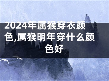 2024年属猴穿衣颜色,属猴明年穿什么颜色好