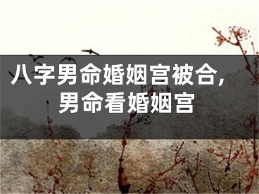 八字男命婚姻宫被合,男命看婚姻宫