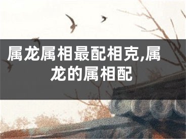 属龙属相最配相克,属龙的属相配
