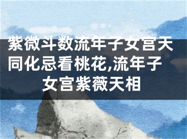 紫微斗数流年子女宫天同化忌看桃花,流年子女宫紫薇天相
