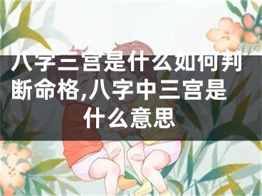 八字三宫是什么如何判断命格,八字中三宫是什么意思