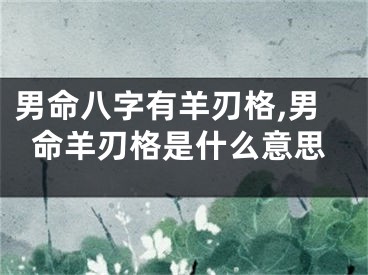男命八字有羊刃格,男命羊刃格是什么意思