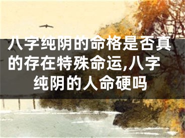 八字纯阴的命格是否真的存在特殊命运,八字纯阴的人命硬吗