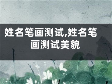 姓名笔画测试,姓名笔画测试美貌