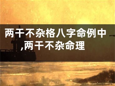两干不杂格八字命例中,两干不杂命理