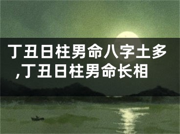 丁丑日柱男命八字土多,丁丑日柱男命长相