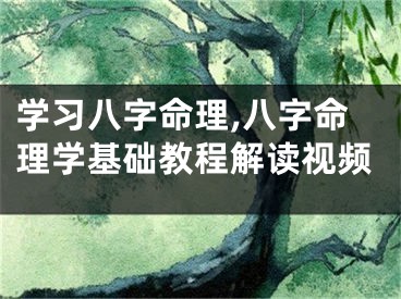 学习八字命理,八字命理学基础教程解读视频