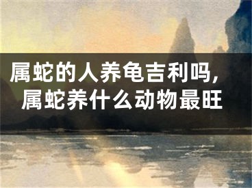 属蛇的人养龟吉利吗,属蛇养什么动物最旺
