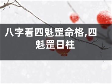 八字看四魁罡命格,四魁罡日柱