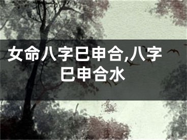 女命八字巳申合,八字巳申合水