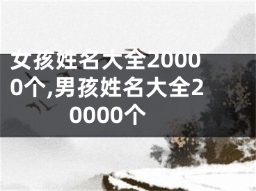 女孩姓名大全20000个,男孩姓名大全20000个
