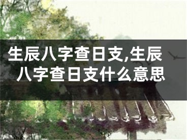 生辰八字查日支,生辰八字查日支什么意思