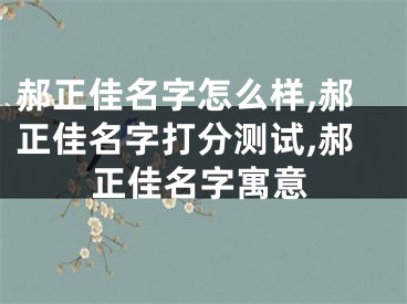郝正佳名字怎么样,郝正佳名字打分测试,郝正佳名字寓意
