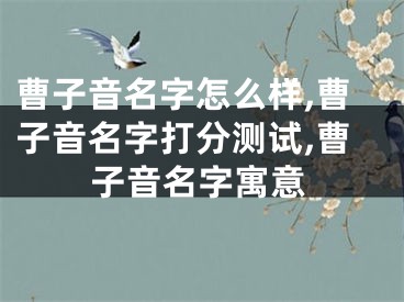 曹子音名字怎么样,曹子音名字打分测试,曹子音名字寓意