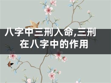 八字中三刑入命,三刑在八字中的作用