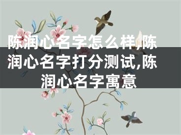 陈润心名字怎么样,陈润心名字打分测试,陈润心名字寓意