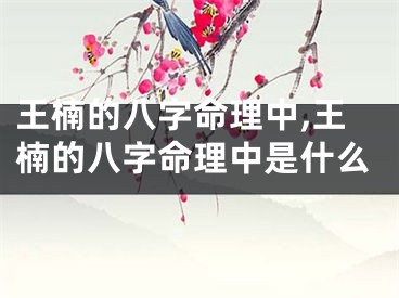 王楠的八字命理中,王楠的八字命理中是什么