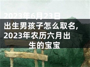 2023年6月23日出生男孩子怎么取名,2023年农历六月出生的宝宝
