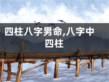 四柱八字男命,八字中四柱
