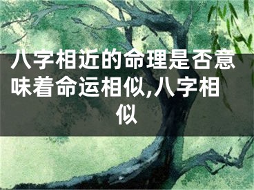 八字相近的命理是否意味着命运相似,八字相似