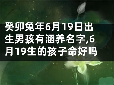 癸卯兔年6月19日出生男孩有涵养名字,6月19生的孩子命好吗