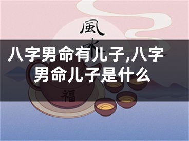 八字男命有儿子,八字男命儿子是什么