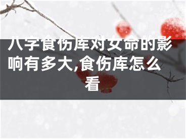 八字食伤库对女命的影响有多大,食伤库怎么看