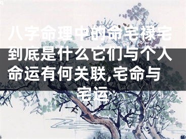 八字命理中的命宅禄宅到底是什么它们与个人命运有何关联,宅命与宅运