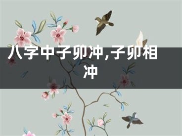 八字中子卯冲,子卯相冲