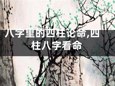 八字里的四柱论命,四柱八字看命
