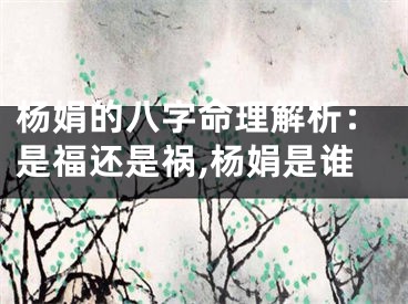 杨娟的八字命理解析：是福还是祸,杨娟是谁