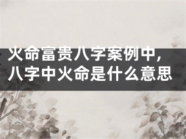 火命富贵八字案例中,八字中火命是什么意思