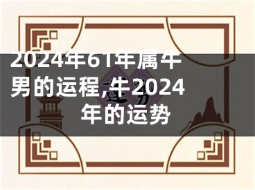 2024年61年属牛男的运程,牛2024年的运势