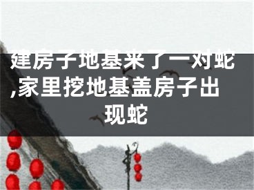建房子地基来了一对蛇,家里挖地基盖房子出现蛇