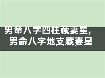 男命八字四柱藏妻星,男命八字地支藏妻星
