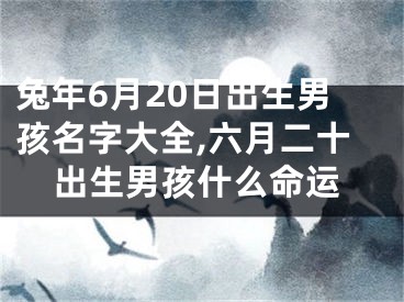 兔年6月20日出生男孩名字大全,六月二十出生男孩什么命运