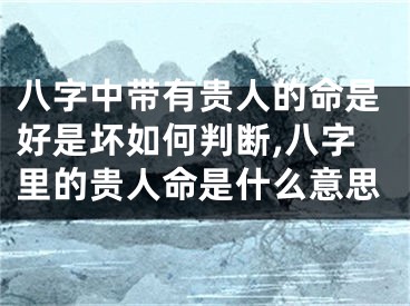 八字中带有贵人的命是好是坏如何判断,八字里的贵人命是什么意思