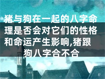 猪与狗在一起的八字命理是否会对它们的性格和命运产生影响,猪跟狗八字合不合