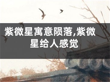 紫微星寓意陨落,紫微星给人感觉