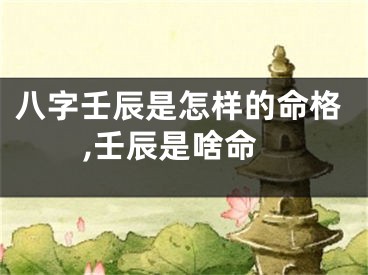八字壬辰是怎样的命格,壬辰是啥命