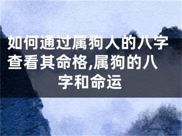 如何通过属狗人的八字查看其命格,属狗的八字和命运