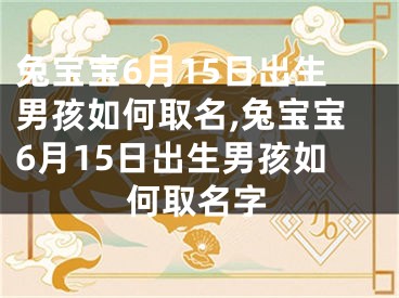 兔宝宝6月15日出生男孩如何取名,兔宝宝6月15日出生男孩如何取名字