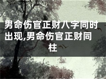 男命伤官正财八字同时出现,男命伤官正财同柱