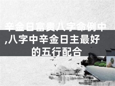 辛金日富贵八字命例中,八字中辛金日主最好的五行配合
