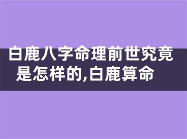 白鹿八字命理前世究竟是怎样的,白鹿算命