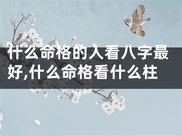 什么命格的人看八字最好,什么命格看什么柱