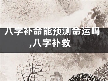 八字补命能预测命运吗,八字补救