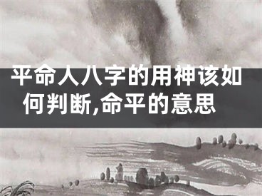 平命人八字的用神该如何判断,命平的意思