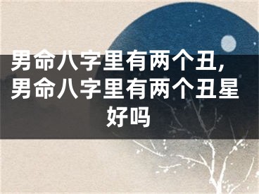 男命八字里有两个丑,男命八字里有两个丑星好吗