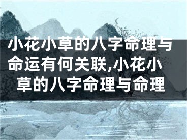 小花小草的八字命理与命运有何关联,小花小草的八字命理与命理